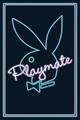 Playboy 9598008