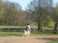 London 2009 - Bushy Park 59710038