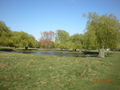 London 2009 - Bushy Park 59710048