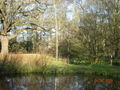 London 2009 - Bushy Park 59710412