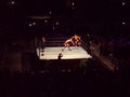 Smackdown ECW Tour Innsbruck 08 45960219