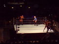 Smackdown ECW Tour Innsbruck 08 45960362