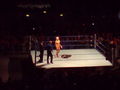 Smackdown ECW Tour Innsbruck 08 45960421