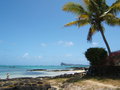 Mauritiusurlaub 2006/2007 15666118