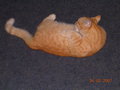 Anusch§ Kater 19267243