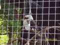 Tierpark Schmiding 64592772