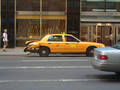 .:NEW YORK CITY 2006:. 8430195