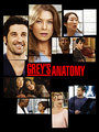 Greys Anatomy 24561982