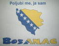 bosna 9683514