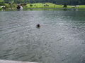 Urlaub am Weisensee 73261801