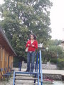 Attersee- TOUR 2007 26558150