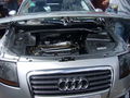 Wörthersee 2008 39853500