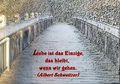 Liebe Hass Sehnsucht  54894761