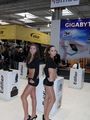 Cebit Messe Babes 2009 55616056