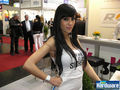 Cebit Messe Babes 2009 55616086