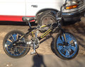 $$Lowrider$$bikes$$ 9961089