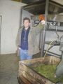 Weinlesen 2008 47309827