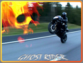 Der wahre Ghostrider 11249154