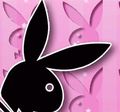 Playboy  57033684