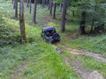 offroad action 43807739
