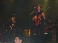 Mando Diao live 26.3.09 Gasometer, Vienn 56696593