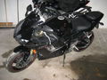 Meine neues Bike Yamaha YZF-R6 56925121