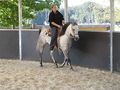 Training bei Eva mit unseren Hoppas  73078276