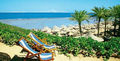 Nubian Island - Sharm El Sheikh 65009731