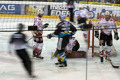 Black Wings vs. Jesenice 34090219