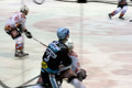 Black Wings vs. Jesenice 34090325