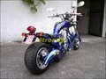 minibikes 12488732