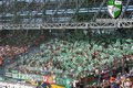 Die Fans vom SK-Rapid Wien 24571800