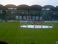 Die Fans vom SK-Rapid Wien 26573182