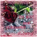 ---§§ voi die geile bilder --- 11913605