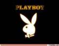 Playboys 9630285