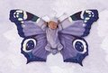 anne geddes 19022560