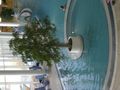 Relaxn in der Therme Geinberg 36253681