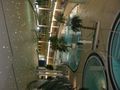 Relaxn in der Therme Geinberg 36254731