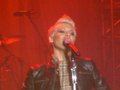 Pink-Konzert__ 24380192