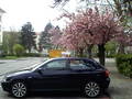 My CaR 9617886