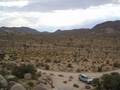 Grand Canyon - Joshua Tree NP 8139585