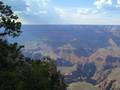 Grand Canyon - Joshua Tree NP 8139592