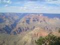 Grand Canyon - Joshua Tree NP 8139593