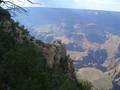 Grand Canyon - Joshua Tree NP 8139595