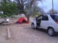 Grand Canyon - Joshua Tree NP 8139601