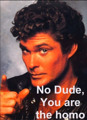 The Hoff!!! 30289437