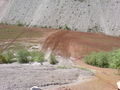 Erzbergrodeo 46836056