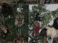 Ausstellung in Bad Ischl und Steyr 69601231