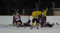 eishockey 9951163