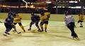 eishockey 9951165